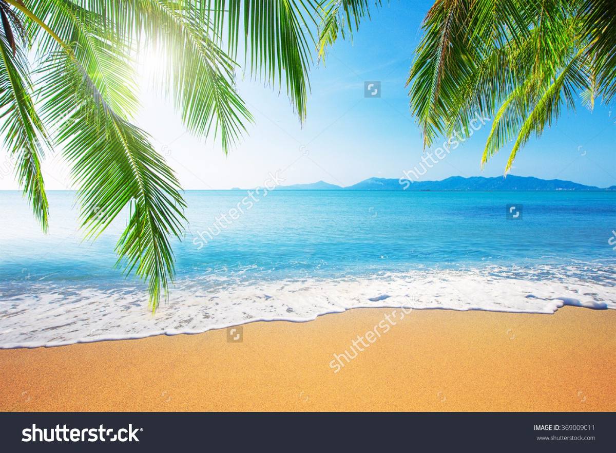 wallpaper de praia,sky,nature,tropics,tree,ocean