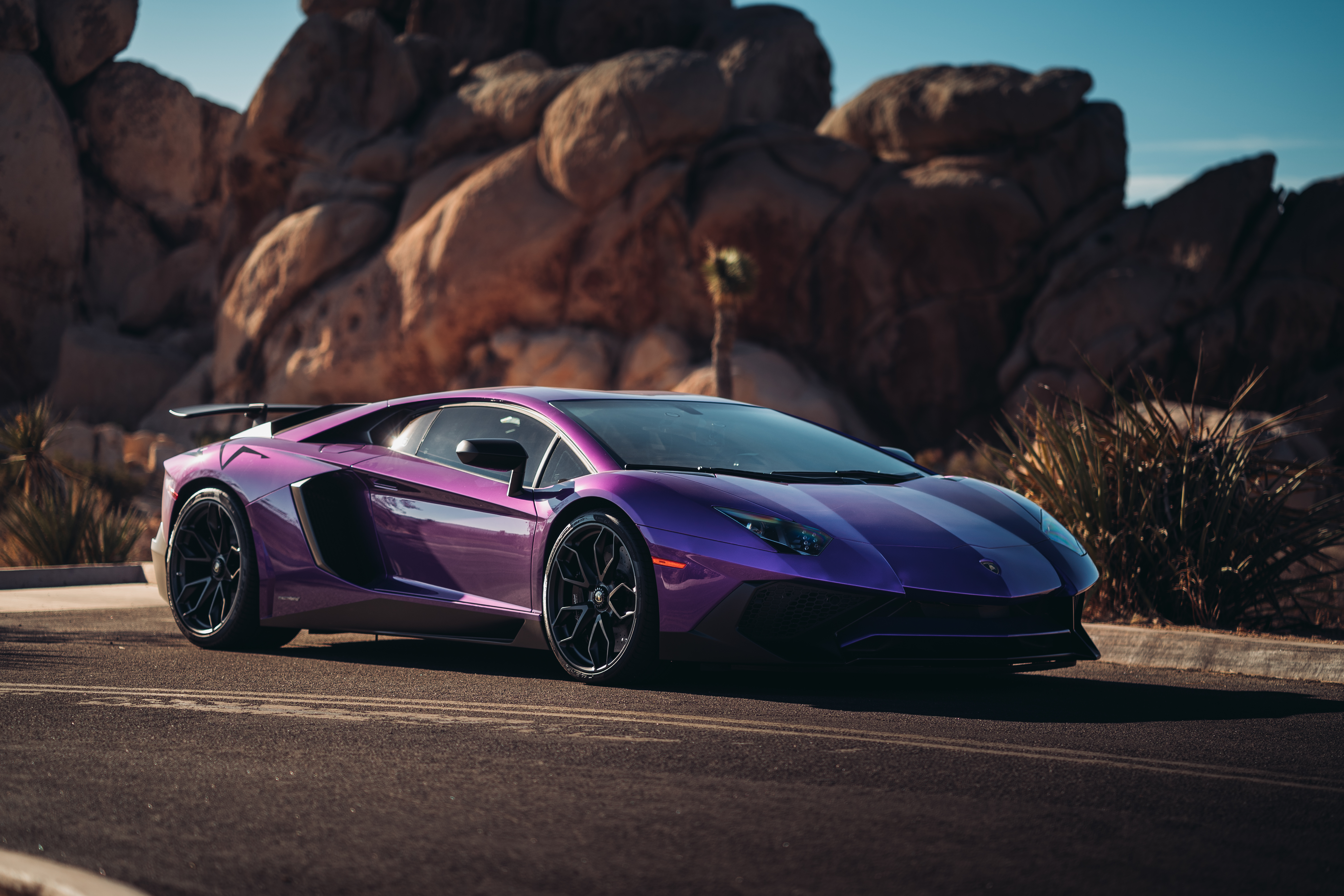 purple lamborghini wallpaper,land vehicle,supercar,automotive design,vehicle,car