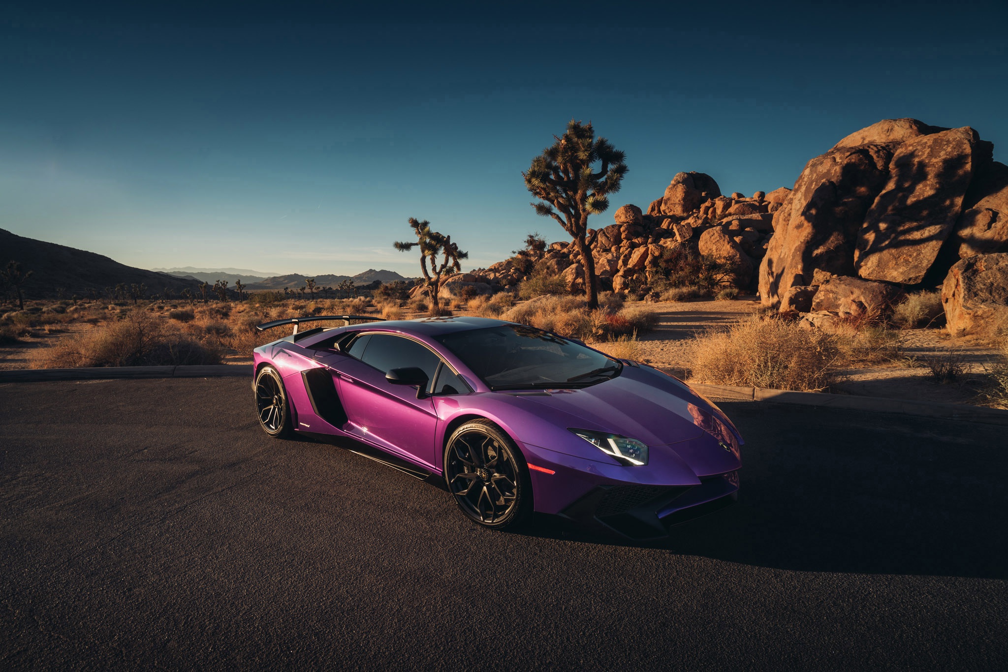 papel tapiz púrpura lamborghini,superdeportivo,vehículo,coche,lamborghini,coche deportivo