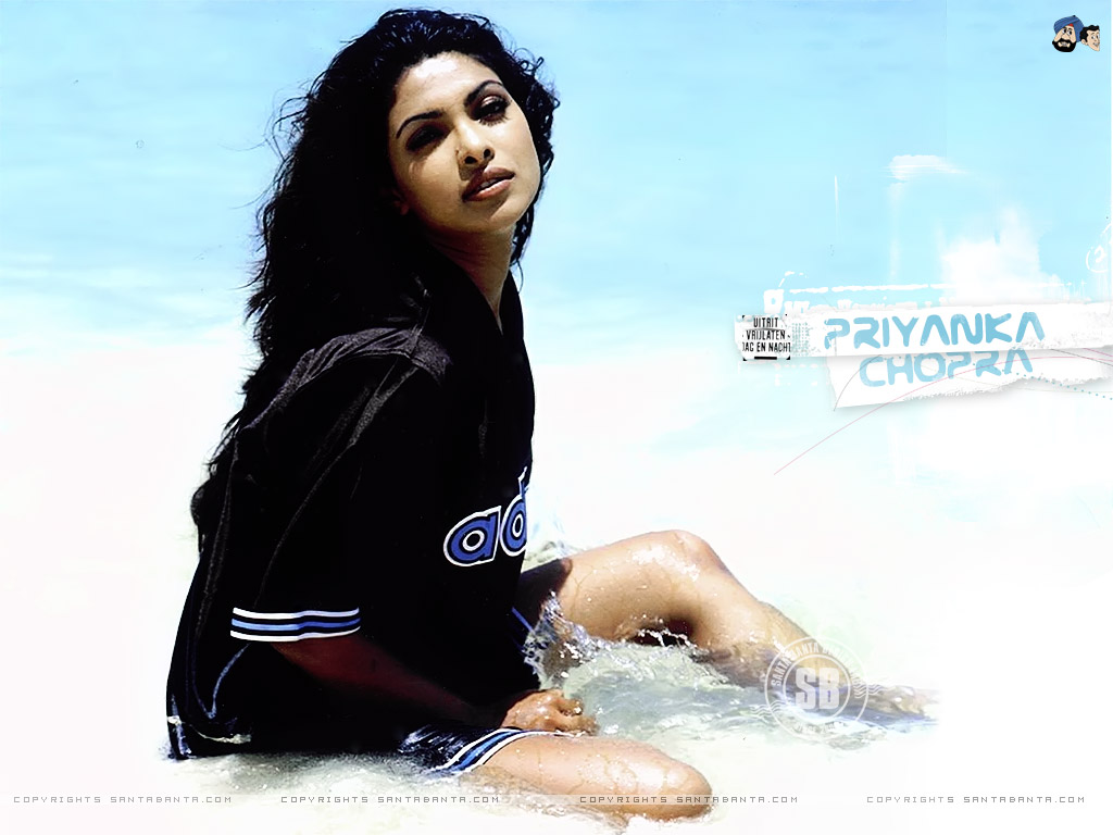 priyanka chopra fonds d'écran hd santa banta,couverture de l'album,cheveux noirs,séance photo,la photographie,police de caractère