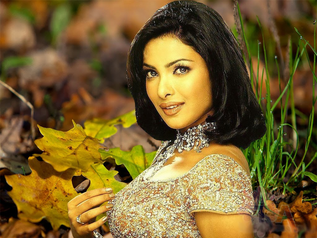 priyanka chopra hd wallpaper santa banta,haar,schönheit,gelb,fotoshooting,fotografie