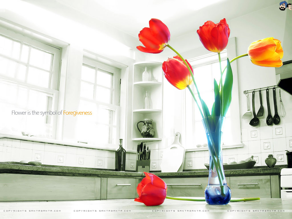 santabanta hot wallpaper series 2,rojo,florero,flor,tulipán,planta
