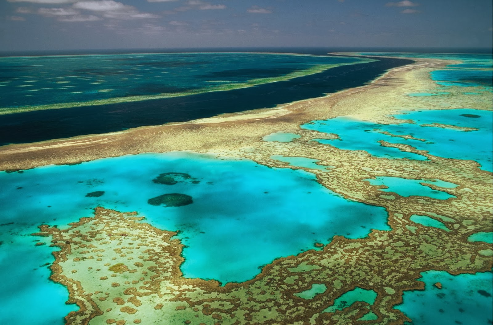 great barrier reef wallpaper,coastal and oceanic landforms,tropics,lagoon,archipelago,cay