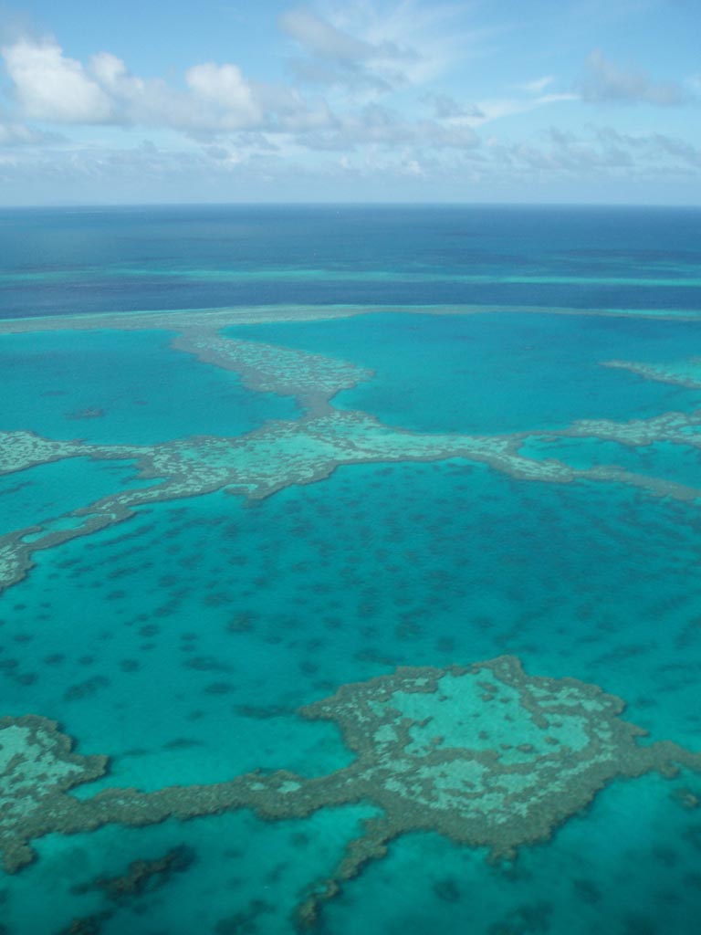 great barrier reef wallpaper,sea,ocean,aqua,coastal and oceanic