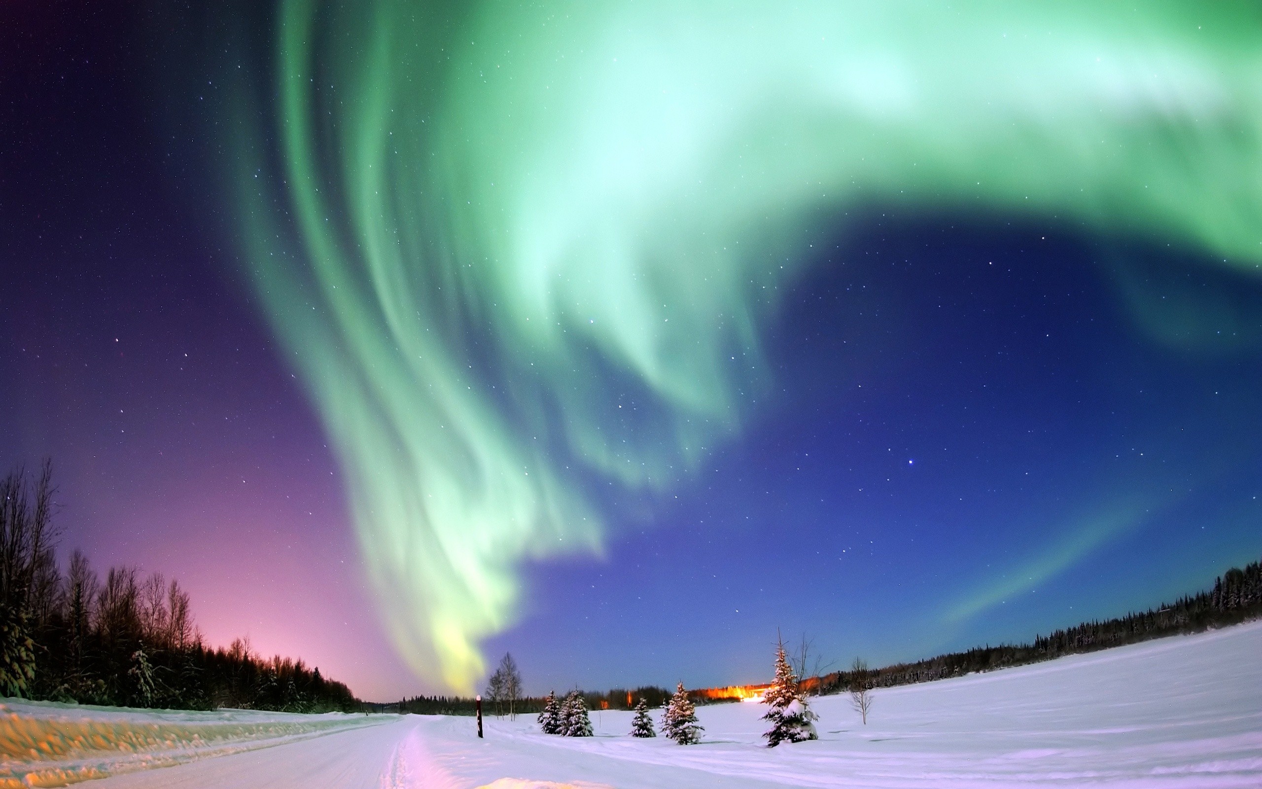 aurores boréales fonds d'écran animés,aurore,ciel,la nature,hiver,neige