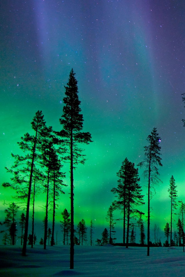 aurora fondos de pantalla iphone,aurora,cielo,naturaleza,árbol,paisaje natural