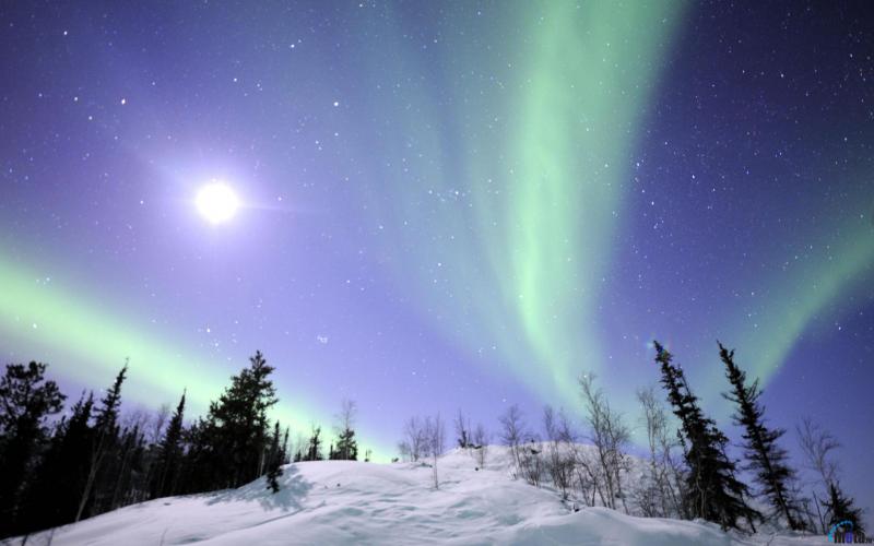 aurores boréales fonds d'écran animés,aurore,ciel,la nature,hiver,paysage naturel