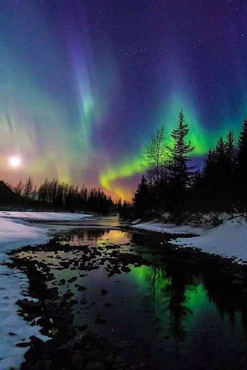 aurora boreale sfondi animati,cielo,natura,paesaggio naturale,aurora,riflessione