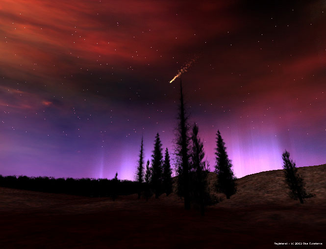 aurores boréales fonds d'écran animés,ciel,aurore,la nature,violet,arbre