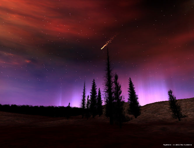 nordlichter leben tapeten,himmel,aurora,natur,lila,baum