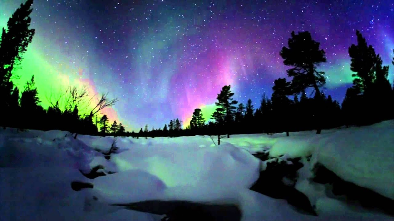 aurores boréales fonds d'écran animés,aurore,ciel,la nature,paysage naturel,hiver