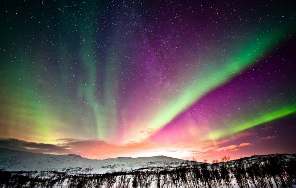 aurores boréales fonds d'écran animés,aurore,ciel,la nature,atmosphère,horizon