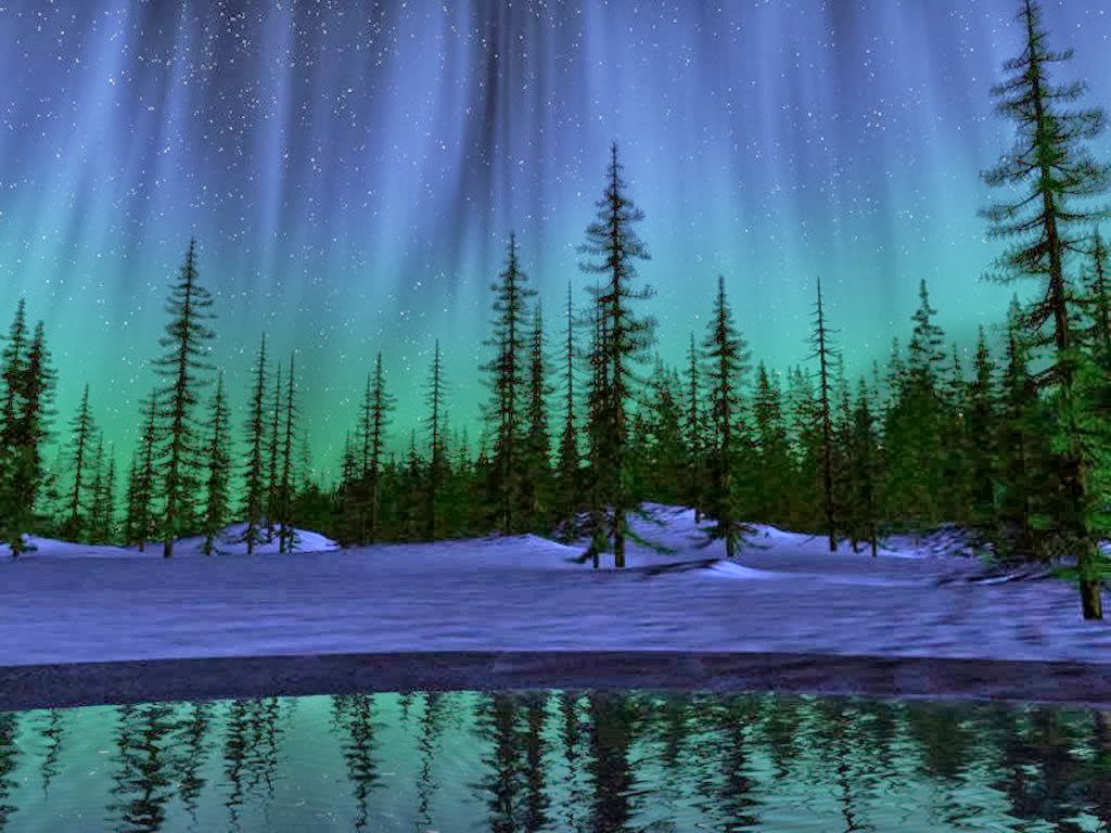 aurora boreale sfondi animati,aurora,paesaggio naturale,natura,albero,cielo