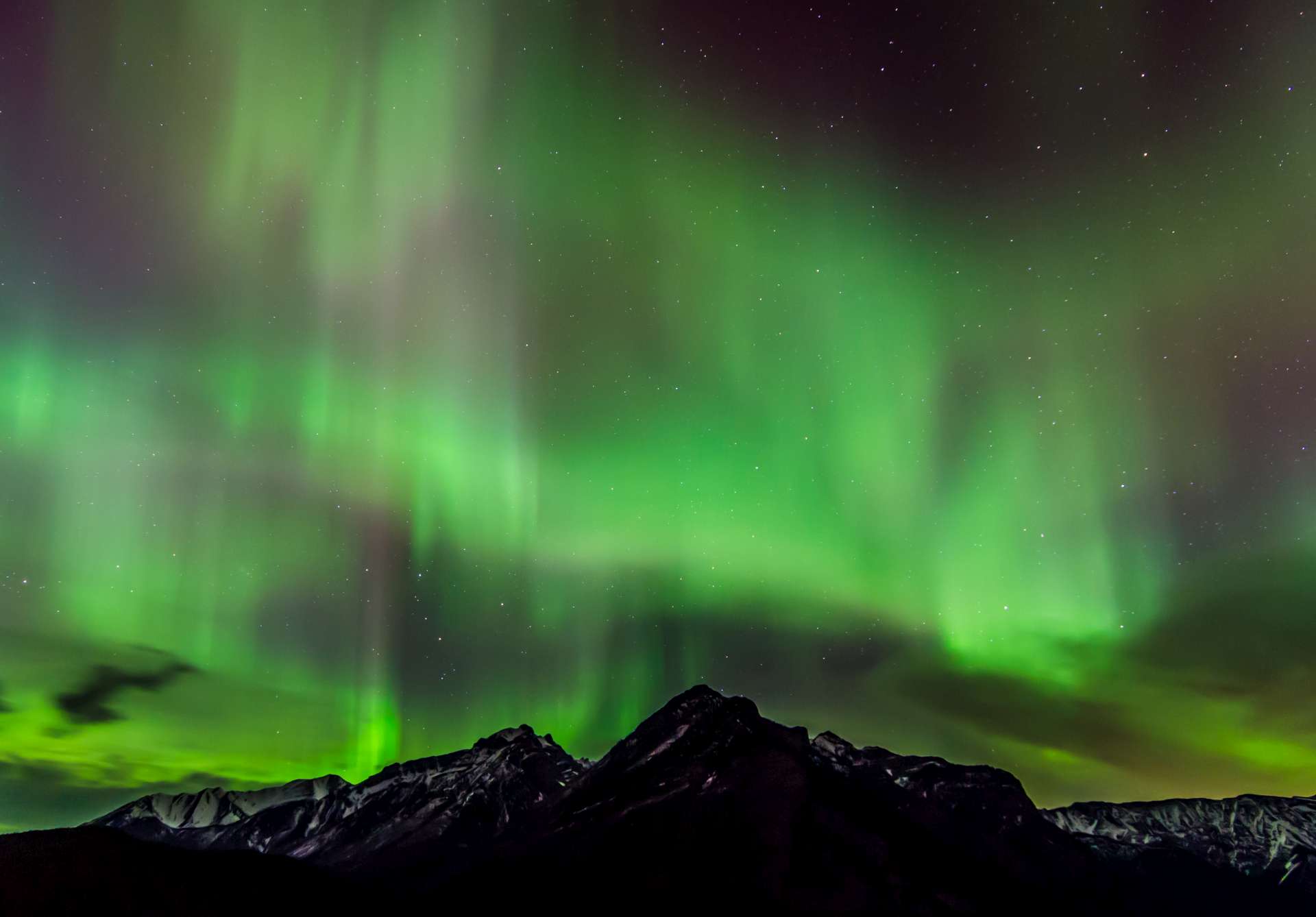 aurora boreale sfondi animati,aurora,cielo,natura,verde,leggero