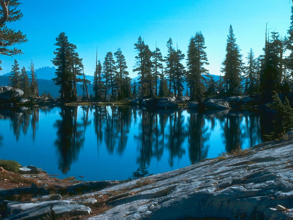 wallpaper de paisagens,natural landscape,nature,larix lyalliisubalpine larch,reflection,wilderness