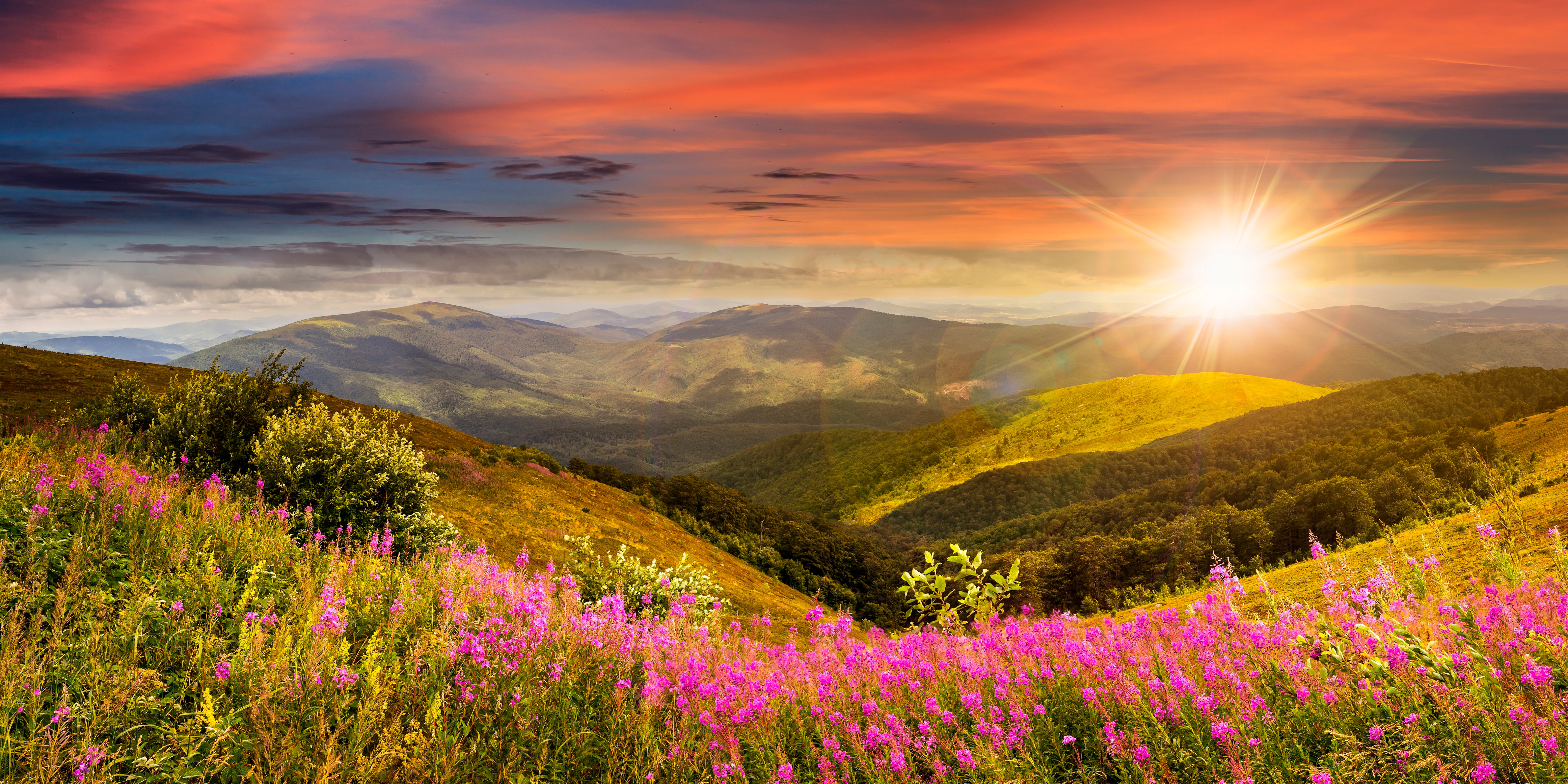 fondo de pantalla de paisagens,naturaleza,paisaje natural,cielo,montaña,flor silvestre
