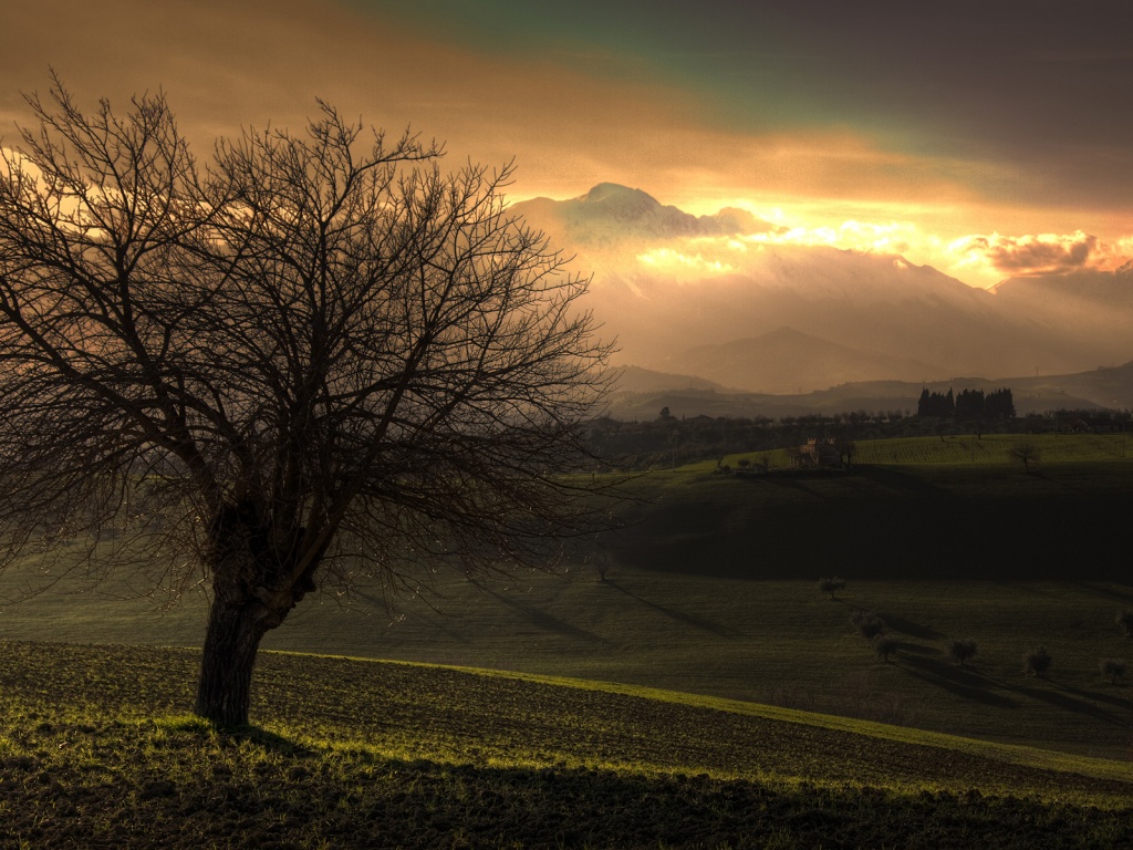 wallpaper de paisagens,sky,natural landscape,nature,tree,atmospheric phenomenon