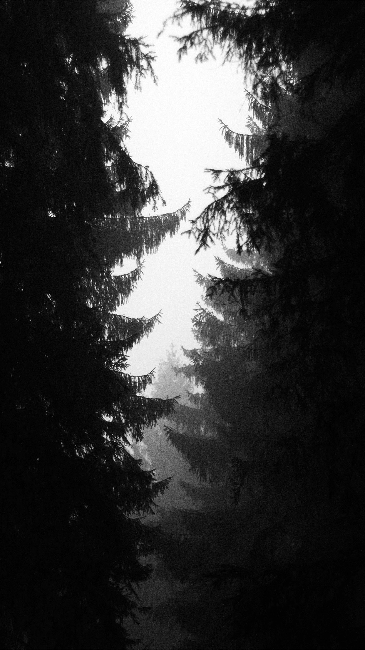 아이폰 7 4k 월페이퍼,하늘,자연,검정,검정색과 흰색,흑백 사진