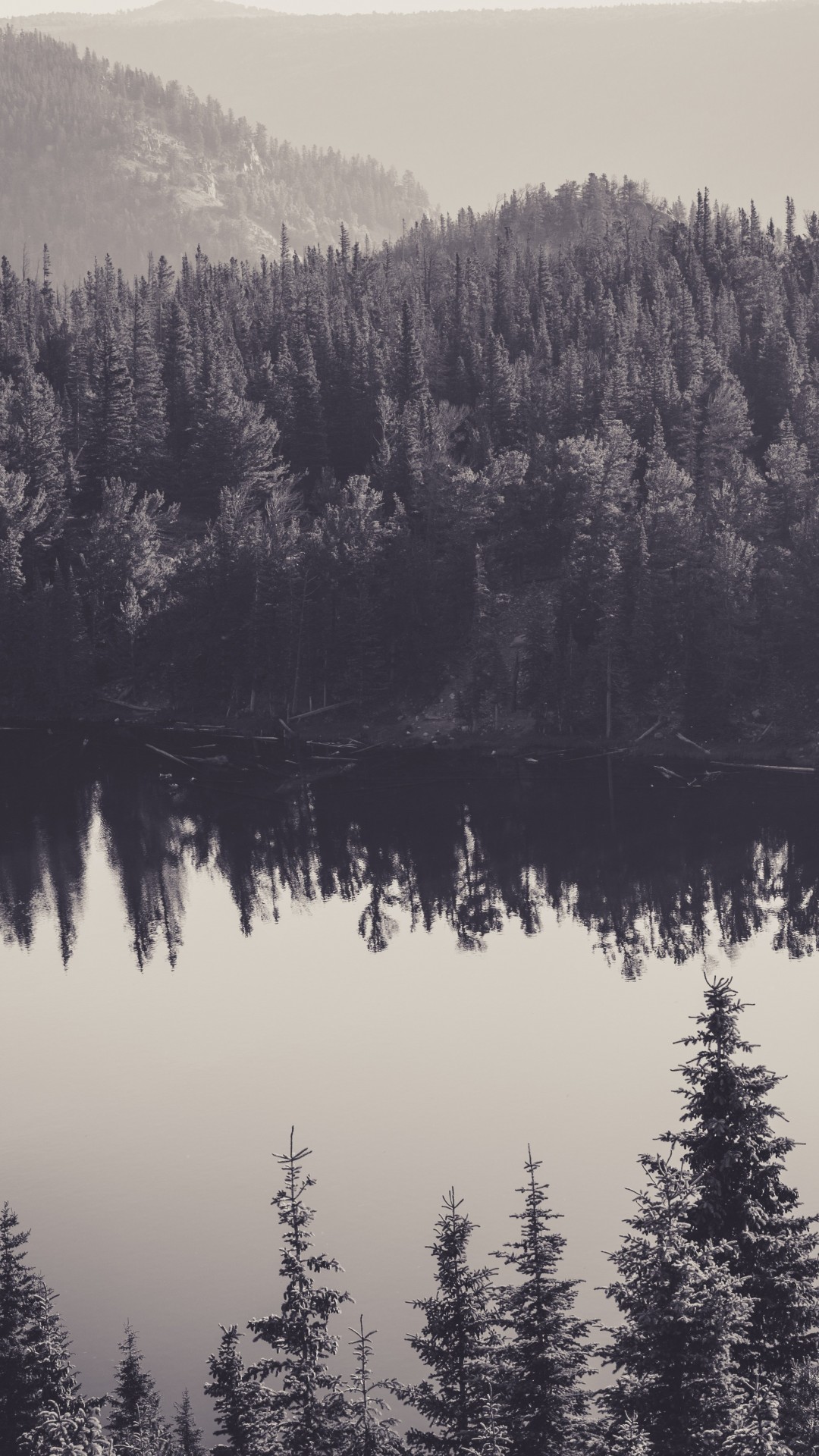 4k wallpapers for iphone 7,nature,shortleaf black spruce,water,reflection,tree