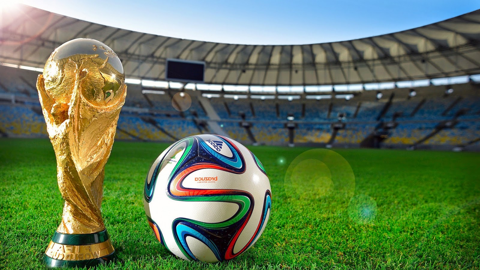 fifa world cup wallpaper,soccer ball,football,ball,sport venue,grass