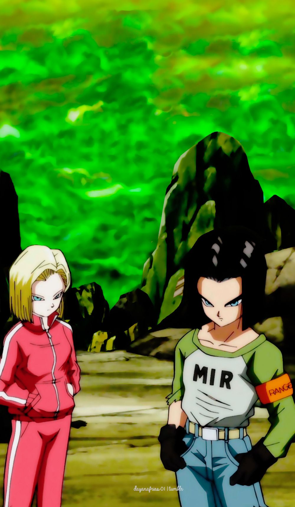 android 17 wallpaper,cartoon,anime,animated cartoon,fictional character,animation