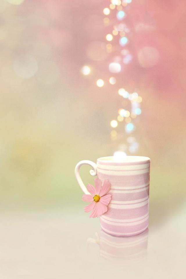 sweet pink wallpaper,pink,cup,teacup,cup,drinkware (#280487) - WallpaperUse