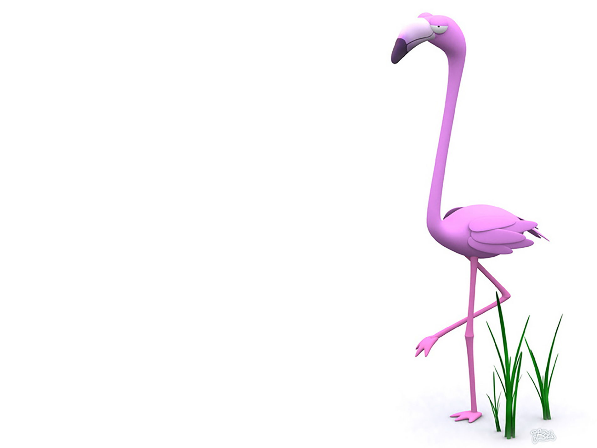 lächerliche tapeten,flamingo,vogel,größerer flamingo,rosa,wasservogel