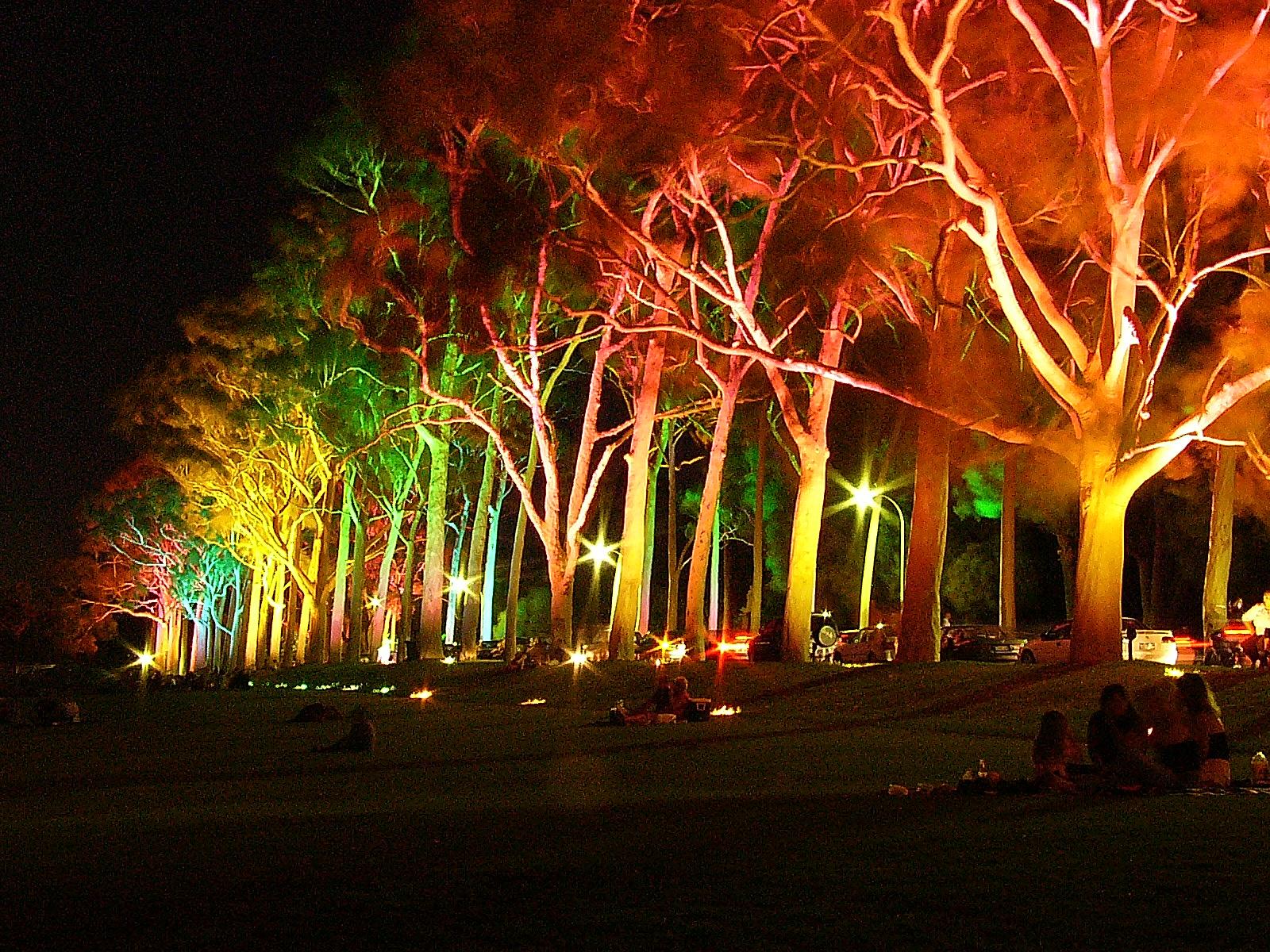 sfondi più folli,notte,leggero,illuminazione,albero,evento