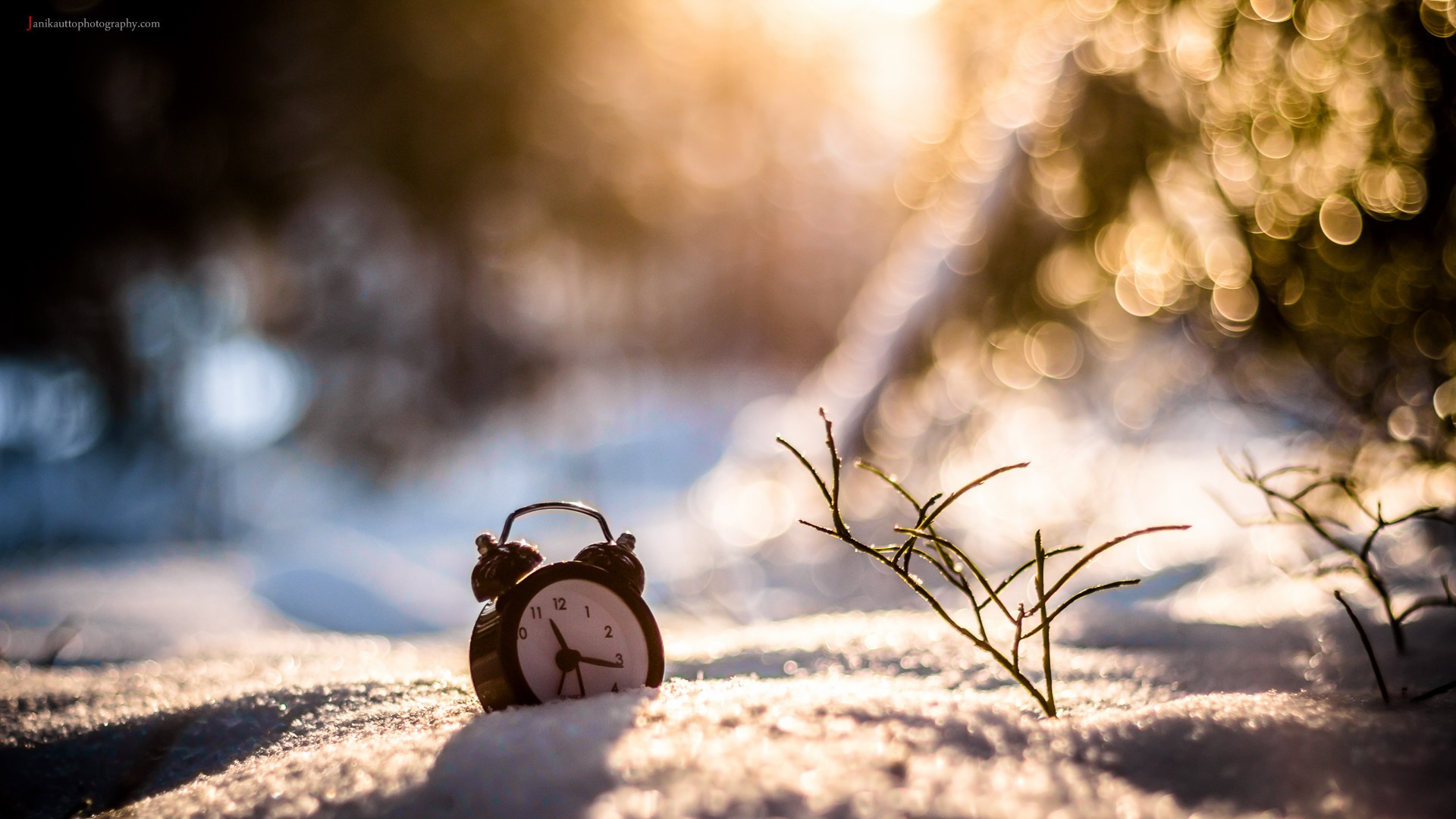 abenteuerzeit live wallpaper,natur,himmel,sonnenlicht,fotografie,baum