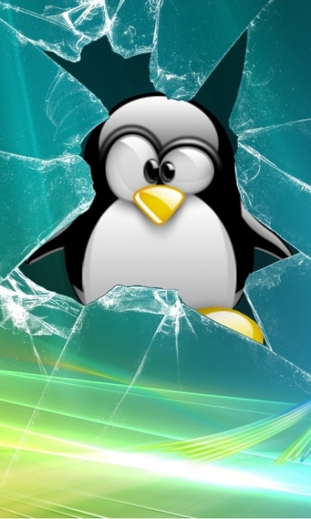 fondo de pantalla del teléfono pingüino,ave no voladora,pájaro,dibujos animados,pingüino,clipart