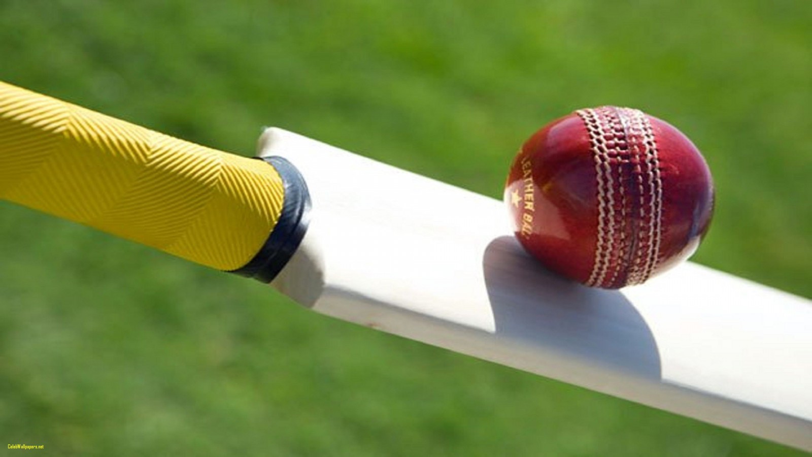 cricket hd wallpaper 1080p,cricket ball,kricket,sport,sportausrüstung,schläger  und ballspiele