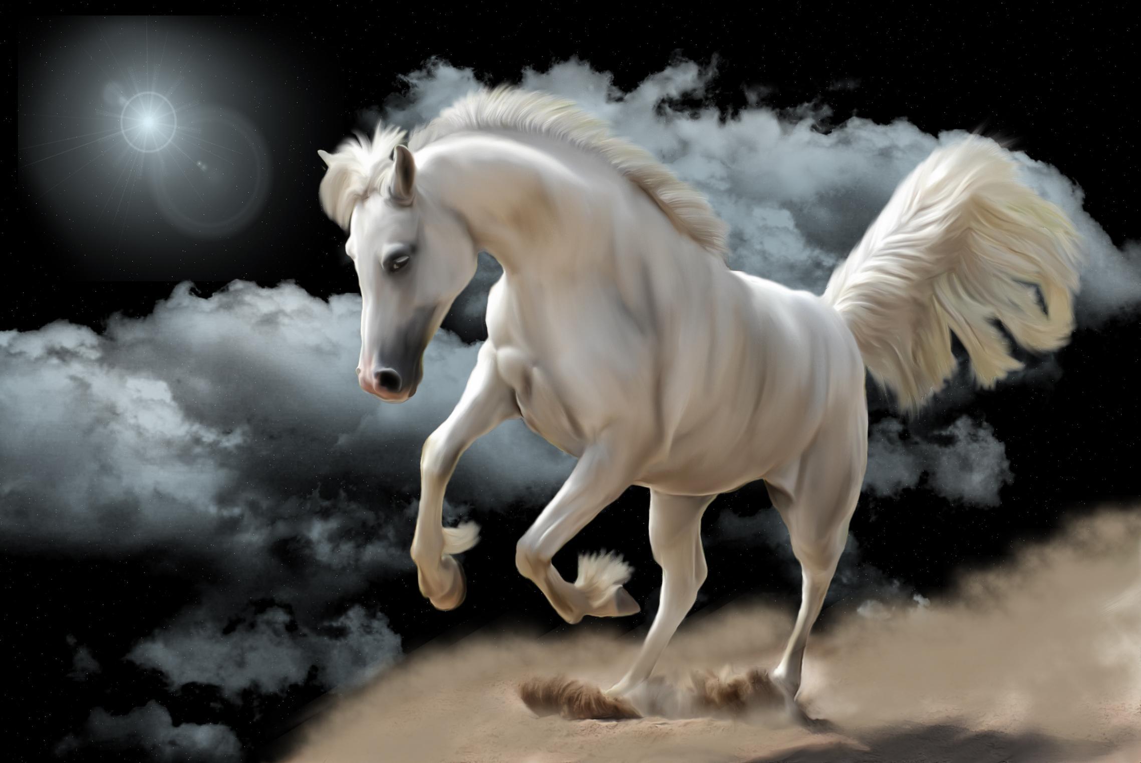 fondo de pantalla kuda,caballo,melena,semental,personaje de ficción,criatura mítica