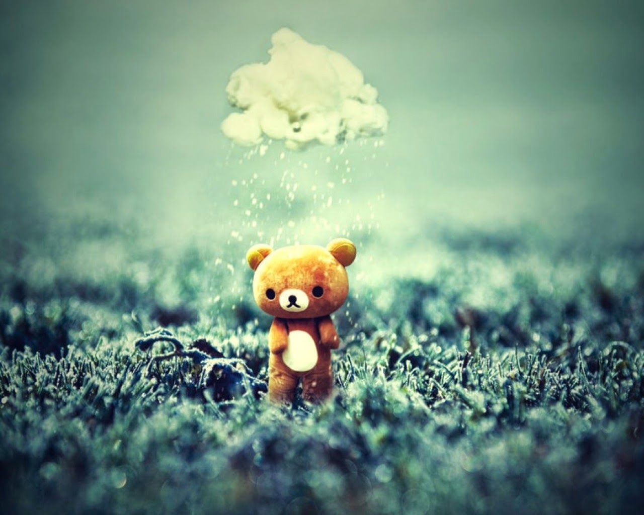 trauriger teddybär hd wallpaper,teddybär,himmel,spielzeug,wolke,bär