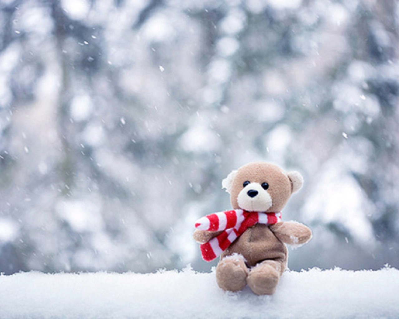 triste oso de peluche fondo de pantalla hd,peluche,nieve,invierno,oso de peluche,cielo