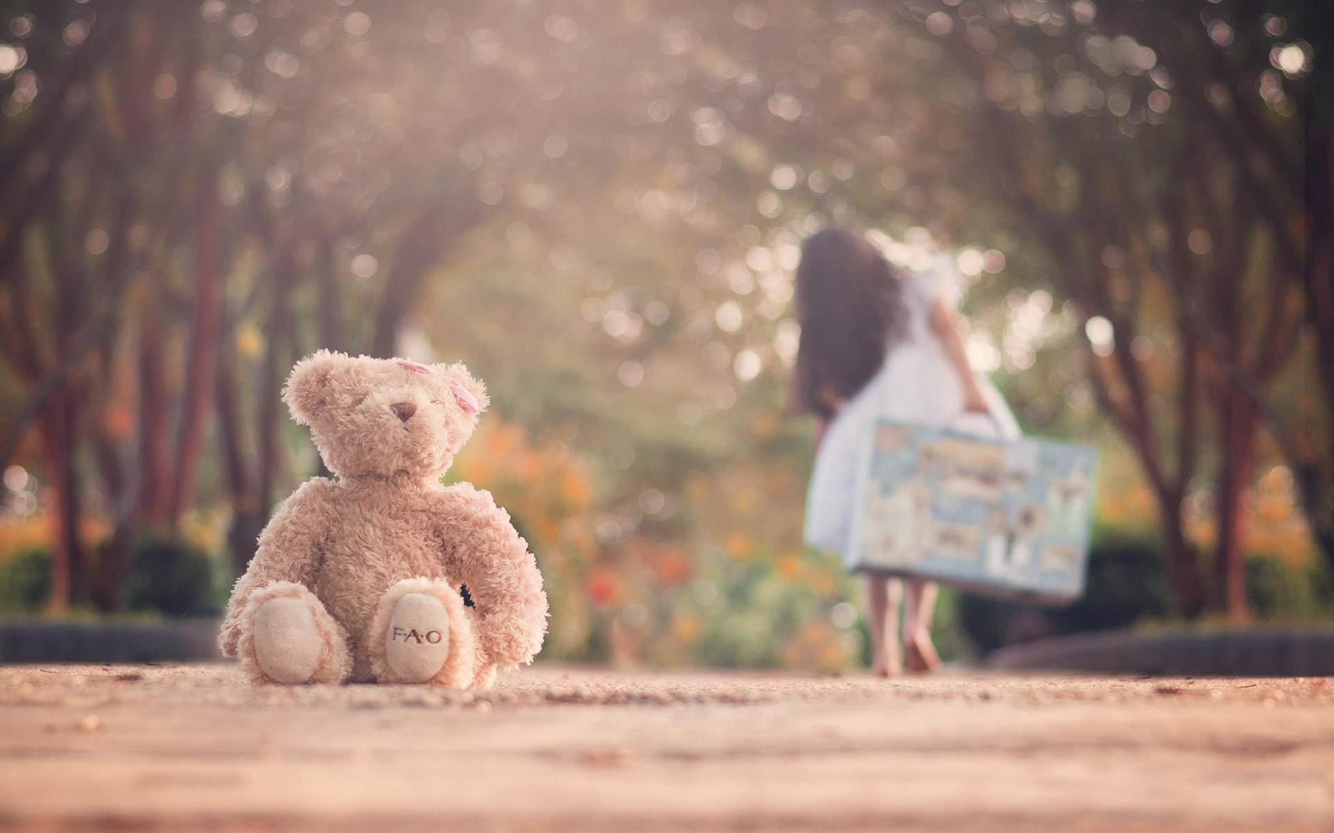 trauriger teddybär hd wallpaper,teddybär,fotografieren,spielzeug,fotografie,himmel