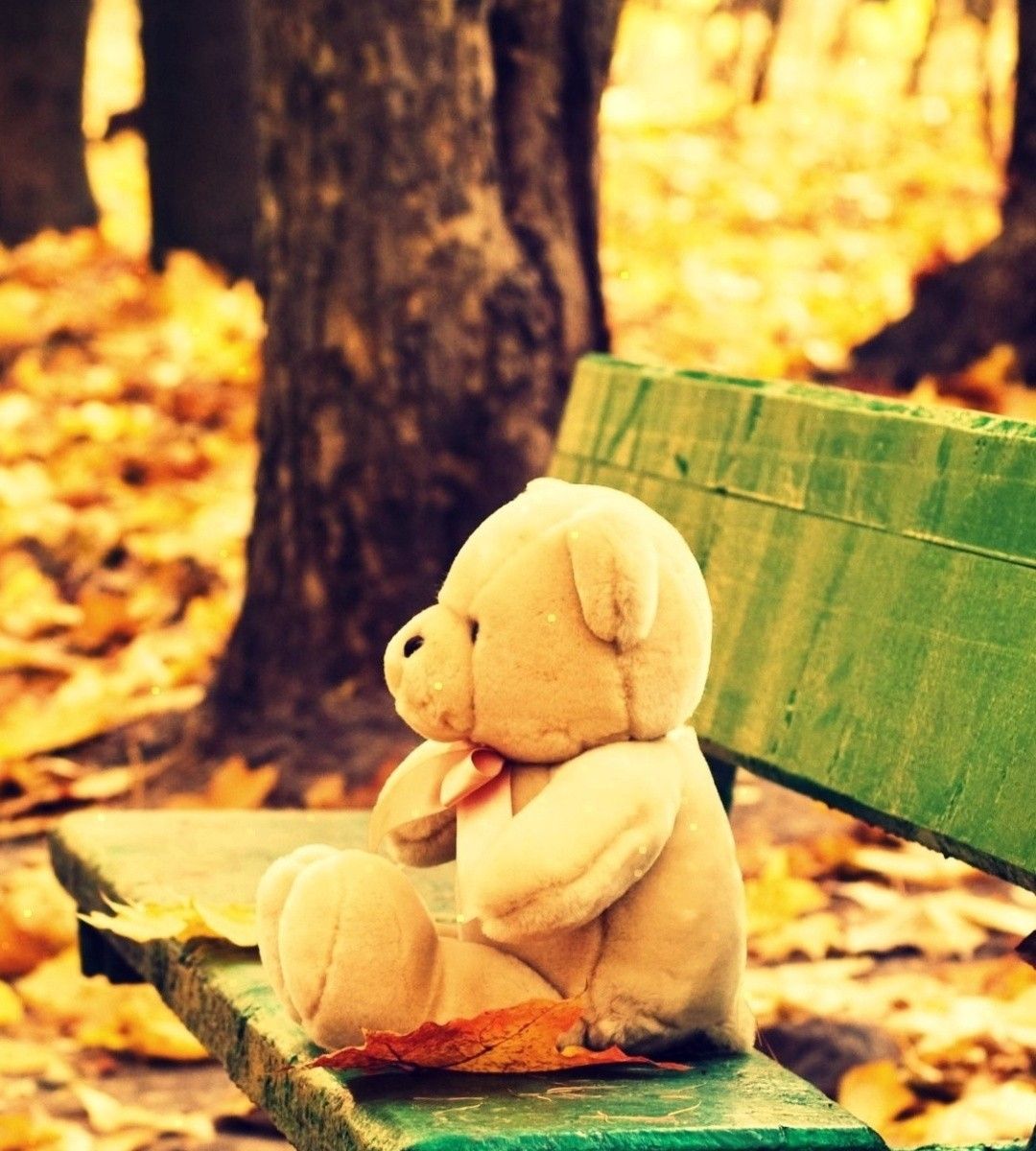 triste oso de peluche fondo de pantalla hd,hoja,oso de peluche,peluche,juguete,sonrisa