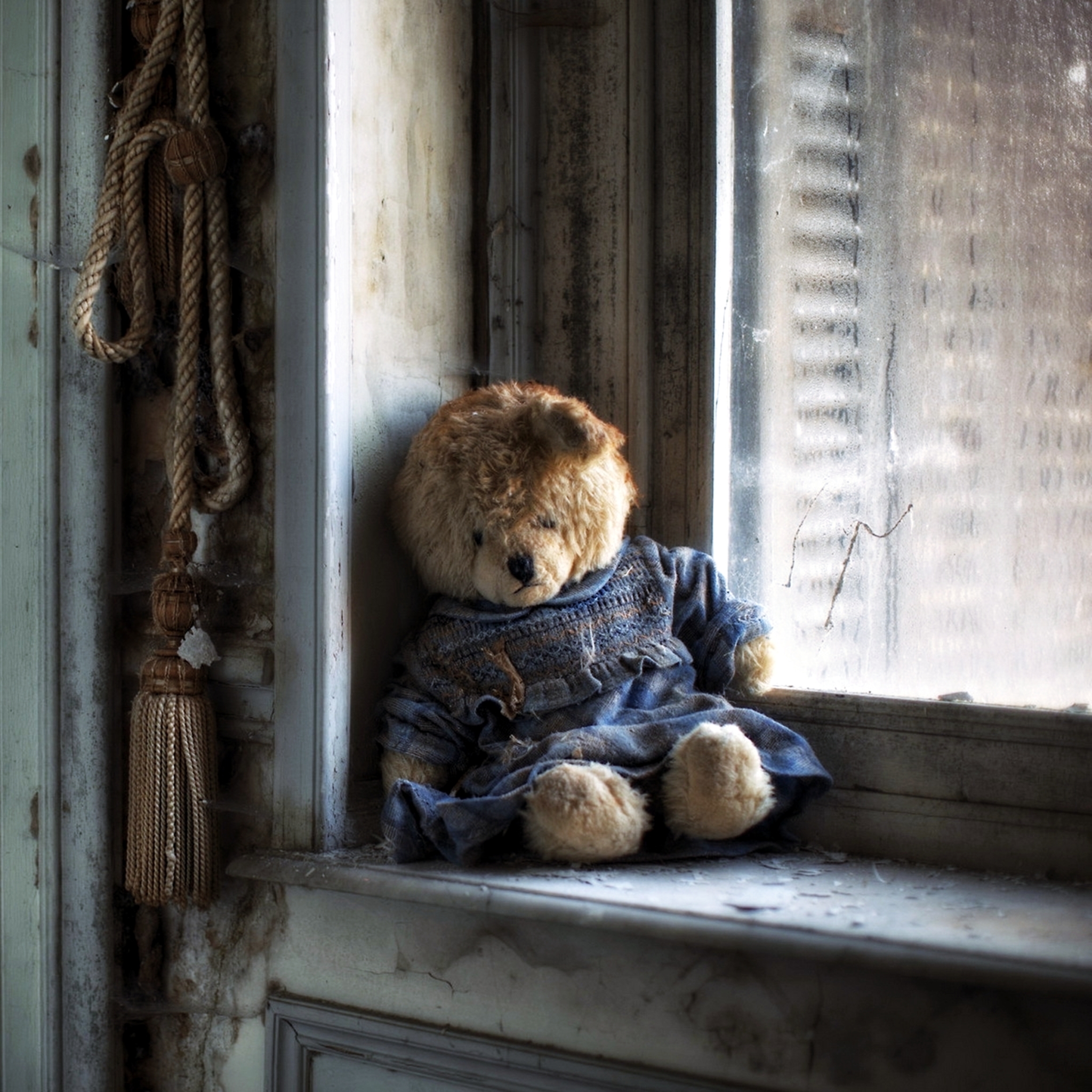 sad teddy bear hd wallpaper,teddy bear,toy,window