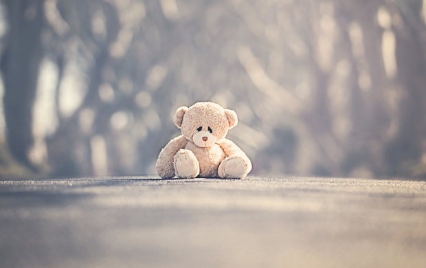 triste oso de peluche fondo de pantalla hd,fotografía,oso de peluche,juguete,cielo,hocico