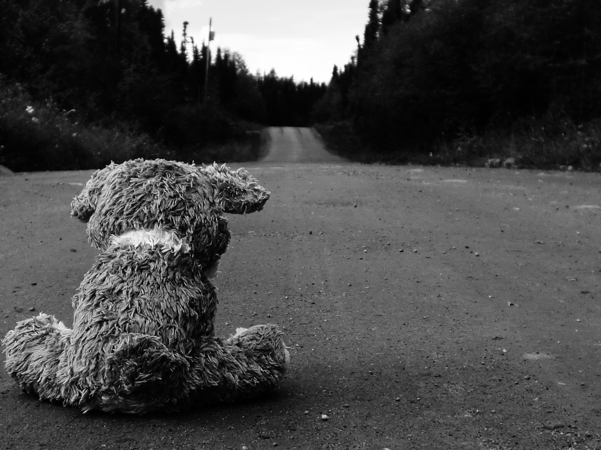 triste oso de peluche fondo de pantalla hd,negro,en blanco y negro,oso de peluche,perro,monocromo
