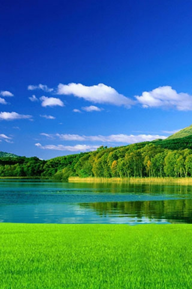 sfondi per telefono hd natura,paesaggio naturale,natura,verde,cielo,prateria