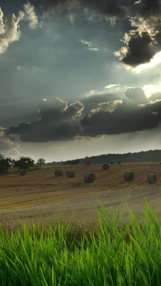 phone wallpapers hd nature,sky,nature,natural landscape,grassland,cloud