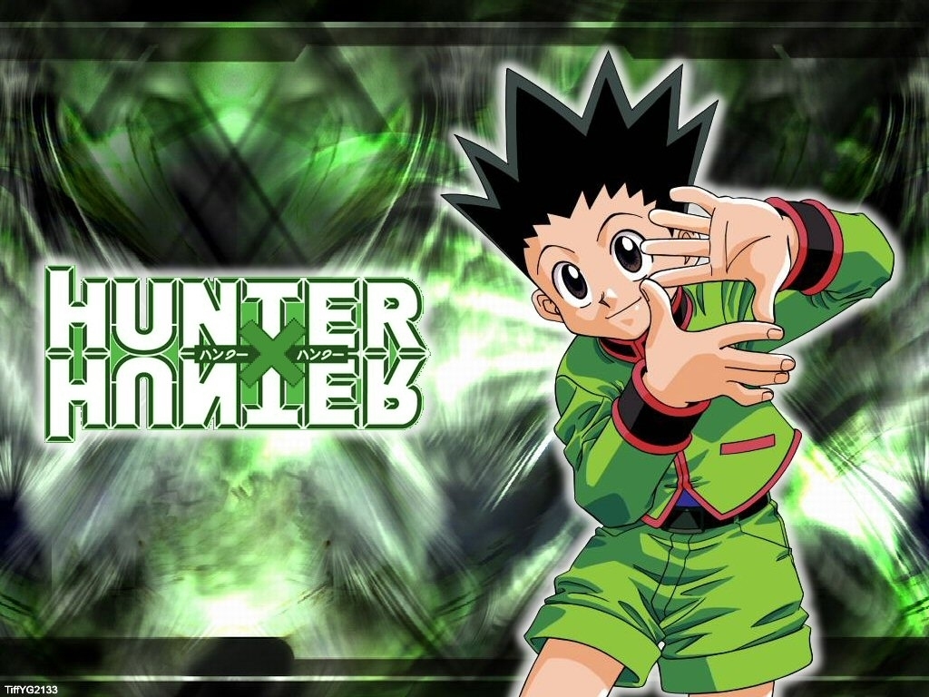 hunter x hunter 2011 wallpaper,cartoon,anime,animation,fictional character,dragon ball