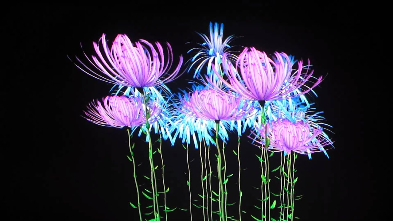 moving flower (284725