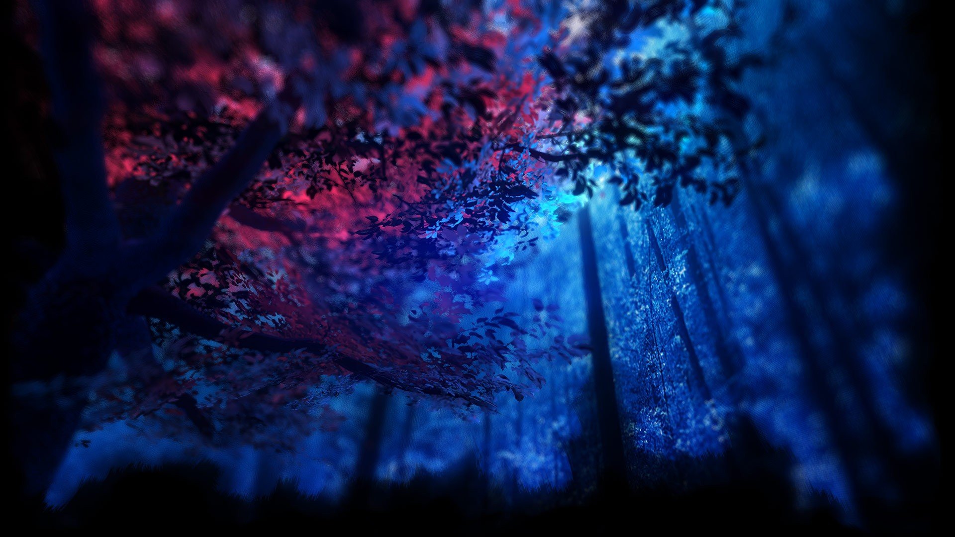 sfondo per la foto del profilo,blu,natura,cielo,viola,buio