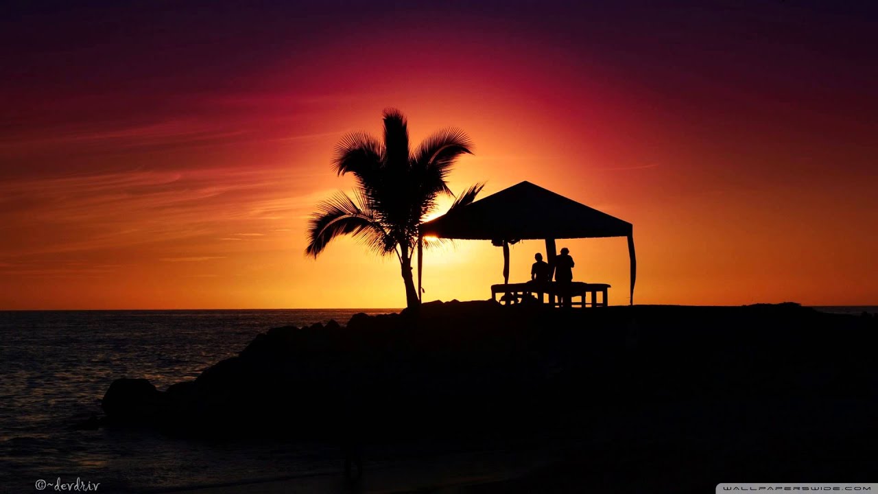 chill wallpaper hd,sky,horizon,sunset,afterglow,palm tree