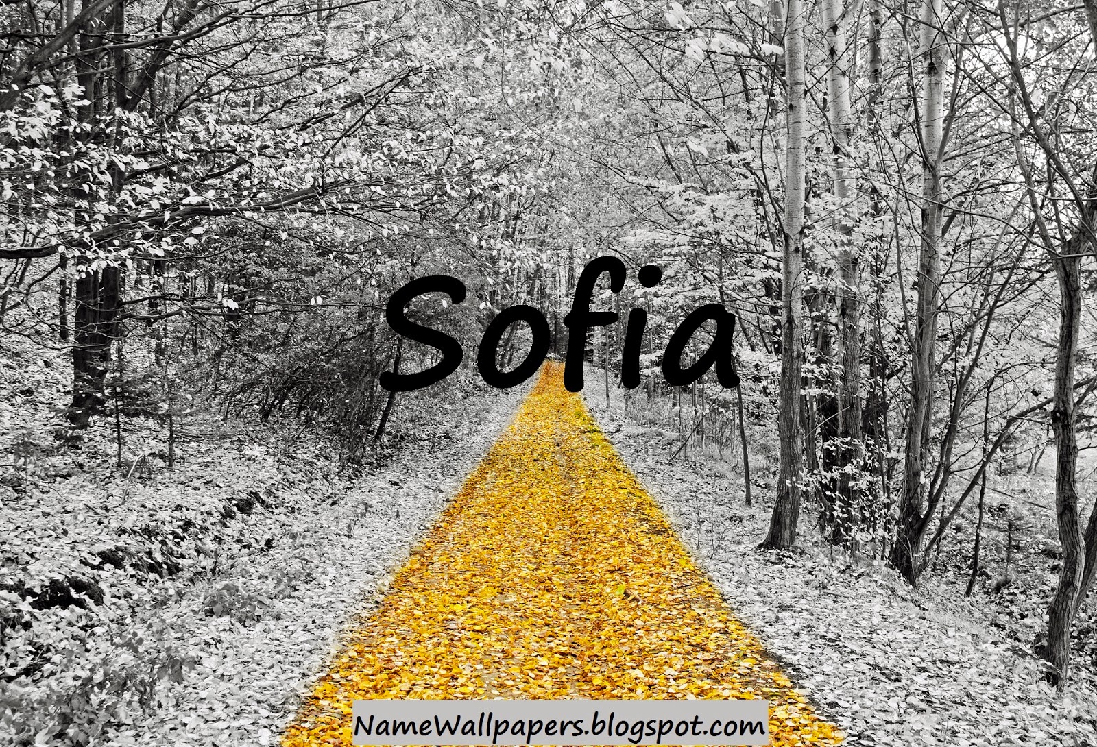 sofia name wallpaper,natural landscape,nature,tree,black and white,yellow