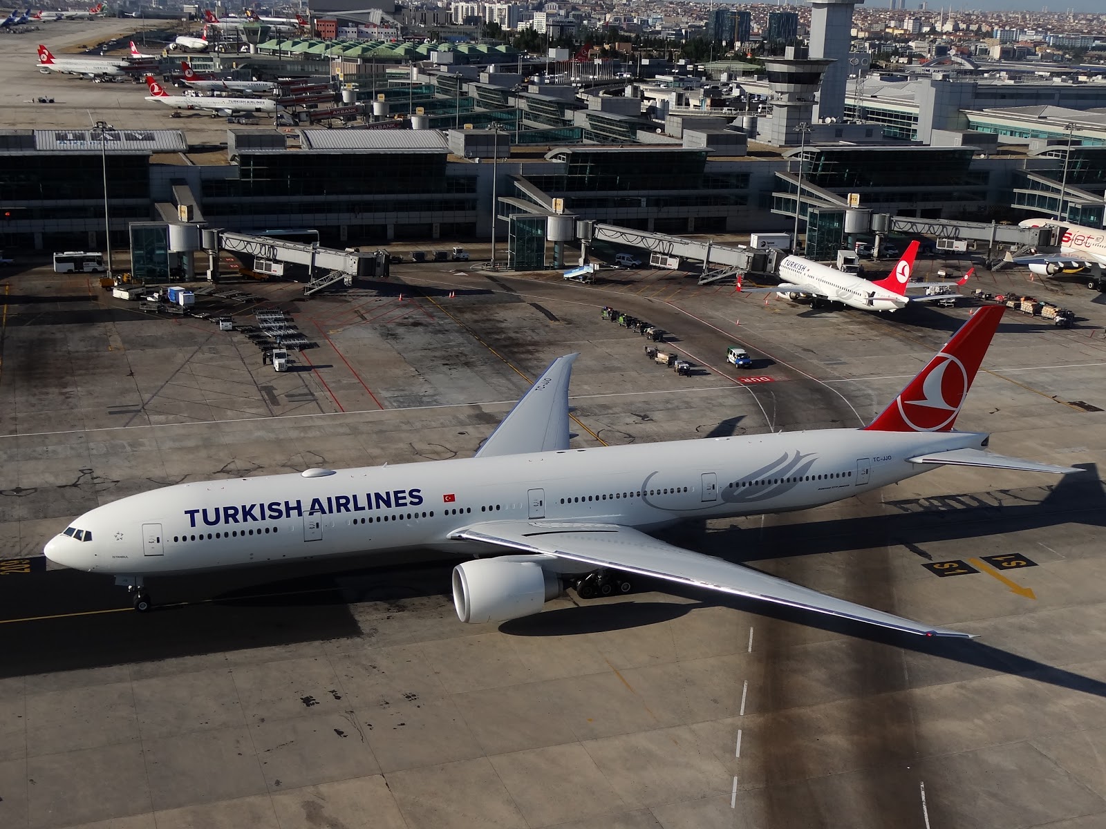 fondo de pantalla de aerolíneas turcas,aerolínea,avión de línea,vehículo,avión,aviones de fuselaje ancho
