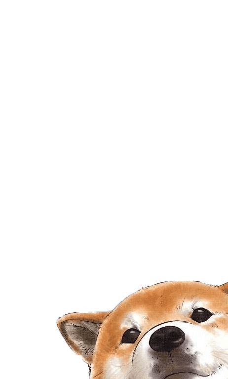 犬壁紙iphone 犬 チワワ 子犬 コンパニオンドッグ 鼻 Wallpaperuse