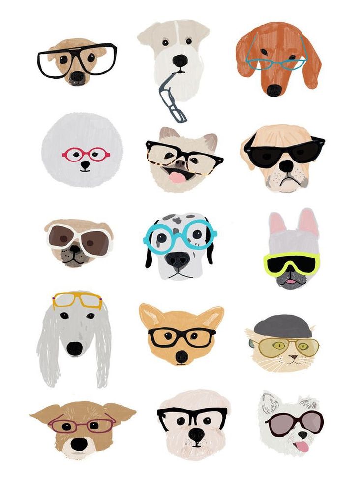 漫画の犬の壁紙,頭,アイウェア,犬,眼鏡,鼻