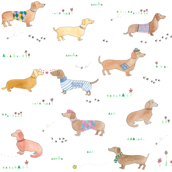 fond d'écran chien saucisse,figure animale,faon,clipart,teckel